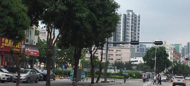 深圳正泰商务酒店(深圳龙岗龙城广场地铁站店)图片