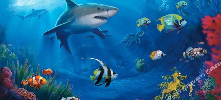 长沙县金橙酒店图片