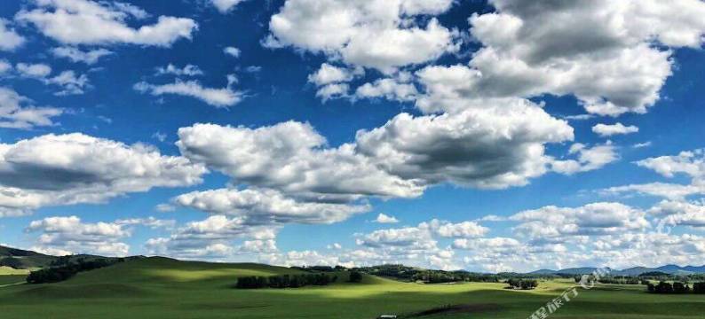 乌兰布统福临门酒家图片