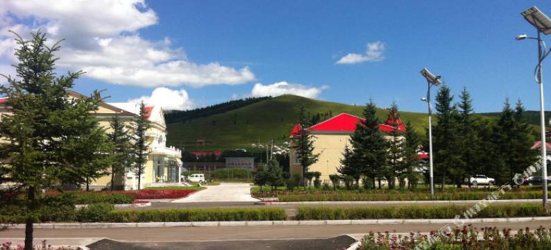 阿尔山九逸宾馆(火车站店)图片