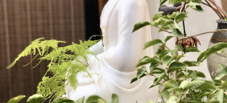 真美客栈(大理古城洱海门店)图片