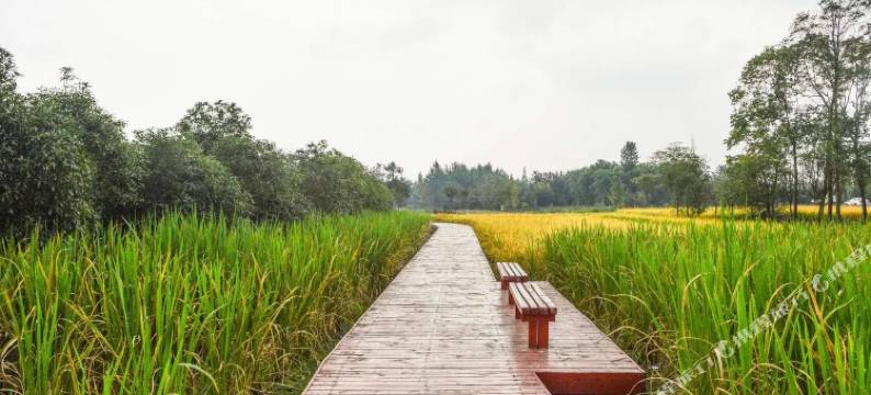 成都民宿连锁(新合路分店)图片