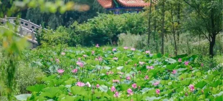 福利渔家民宿(日照海滨国家森林公园店)图片