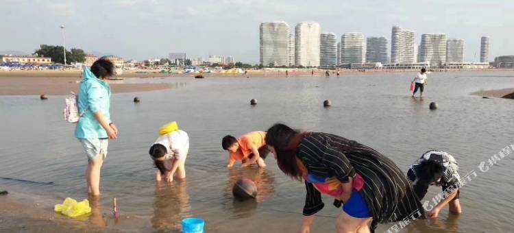 秦皇岛碧海蓝天公寓图片