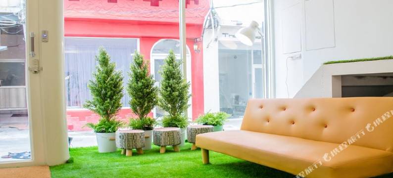 垦丁天空树宿图片