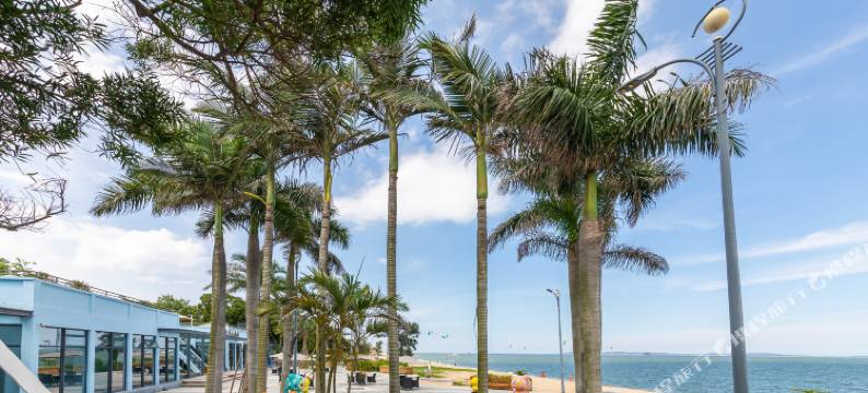 厦门棉花糖客栈图片