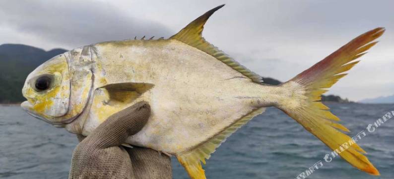 深圳九口之家客栈图片