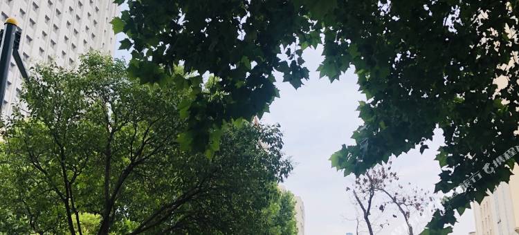 骏怡连锁酒店(连云港通灌路步行街店)图片