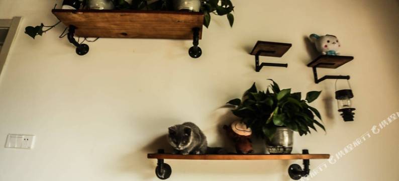 老君山溪上沐舍客栈图片