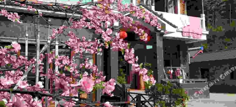 安吉子艺农家民宿图片