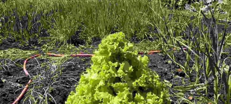 额尔古纳于晓艳旅游之家民宿图片