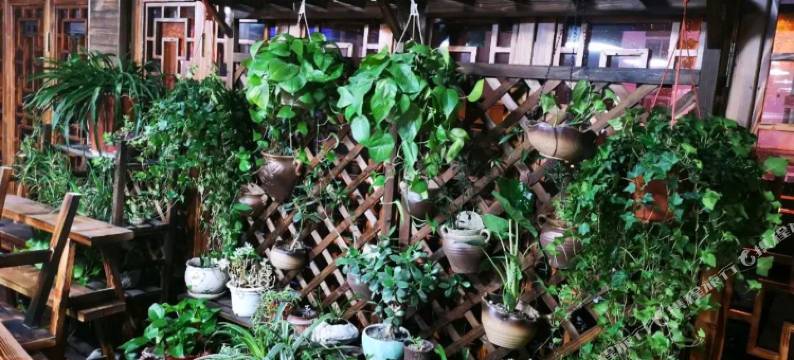 如家睿柏·云酒店(岳西县高速路收费站店)图片