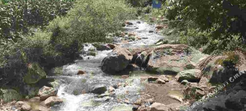 留坝山舍民宿图片