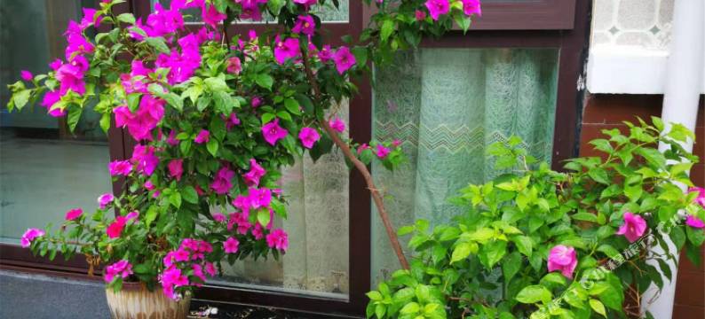 潍坊丁香小筑七号院民宿图片