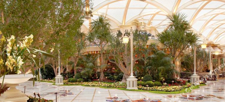 拉斯维加斯安可酒店(Encore Las Vegas)图片