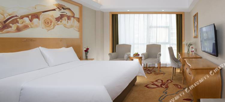 维也纳酒店(郴州市政府店)图片