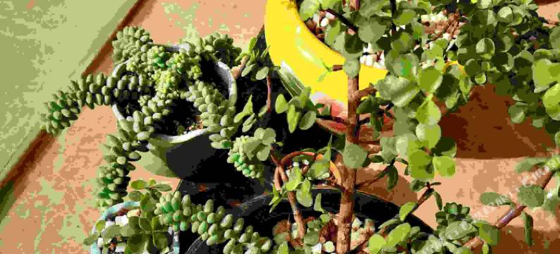 曲靖遇见酒店图片