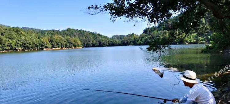 婺源涵庐民宿图片