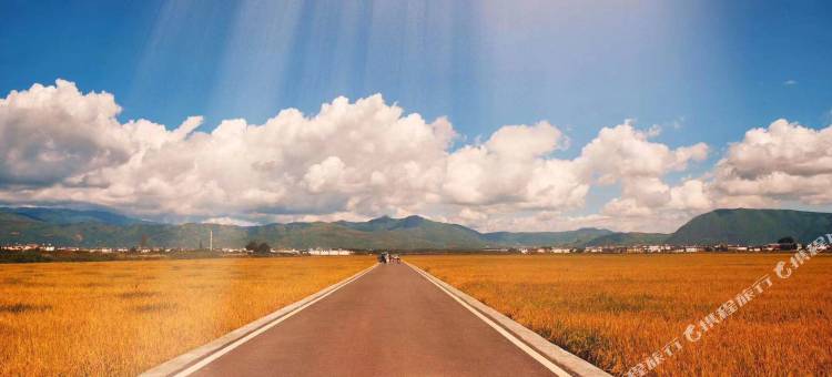 大理九只猫驿站图片