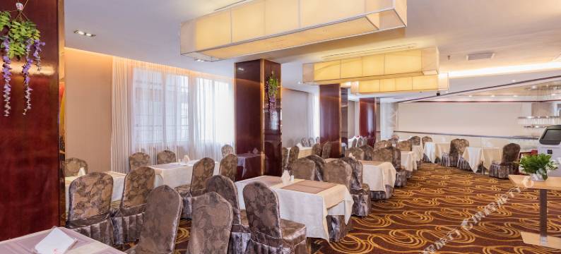 耒阳蔡伦国际大酒店图片