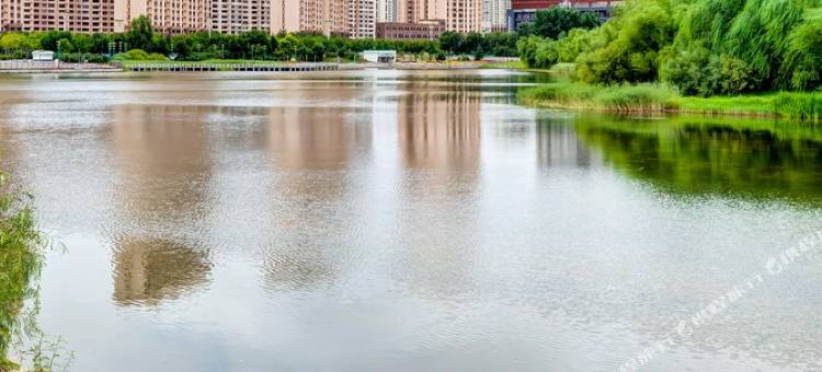 哈尔滨唯盛•民宿(群力第五大道分店)图片