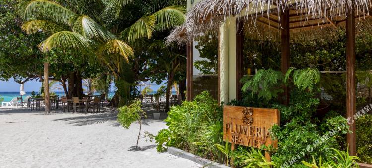 马尔代夫羽毛酒店(Plumeria Maldives)图片