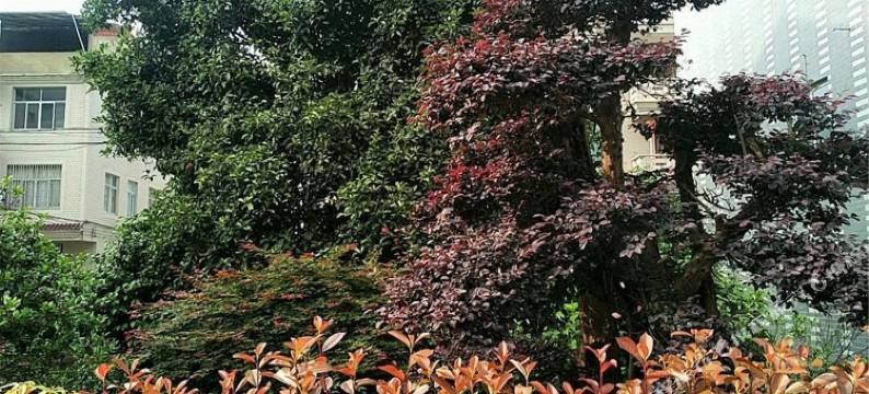 金华横店影视城邂逅民宿(梦幻谷店)图片