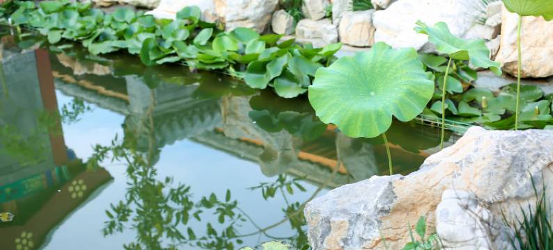 曲阜桂泽园民宿图片