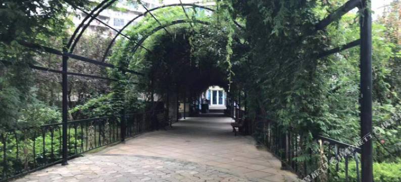 日照杨阿姨公寓图片