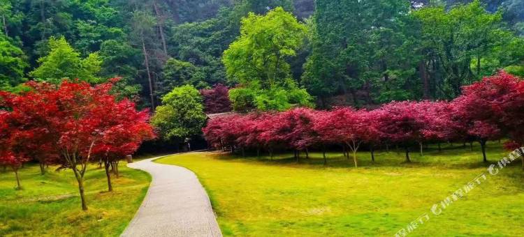 五洩紫苏岩精品民宿图片