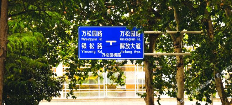 唯爱情侣公寓(武汉万松园店)图片