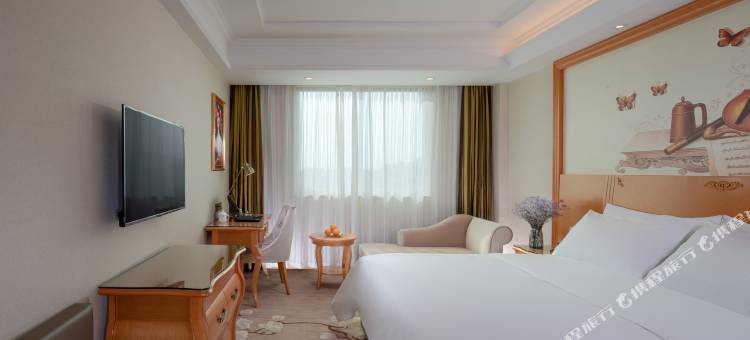 维也纳酒店(东莞虎门高铁站店)图片