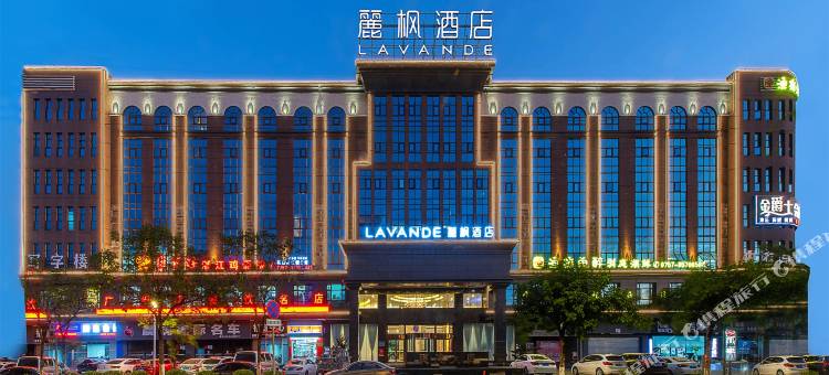 麗枫酒店(佛山盐步国际茶都店)图片