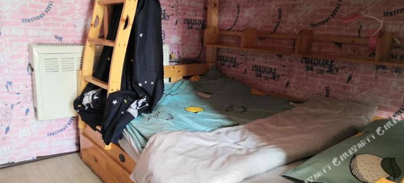 顺子青年公寓(石家庄省博物馆店)图片