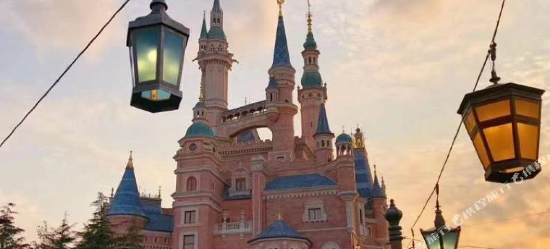 鹿溪精选酒店(上海国际旅游度假区店)图片