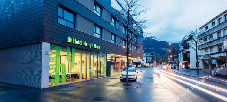 哈利之家多伯恩酒店(Harry's Home Dornbirn Hotel & Apartments)图片