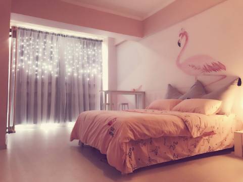 洛阳我家的狗狗叫果冻公寓