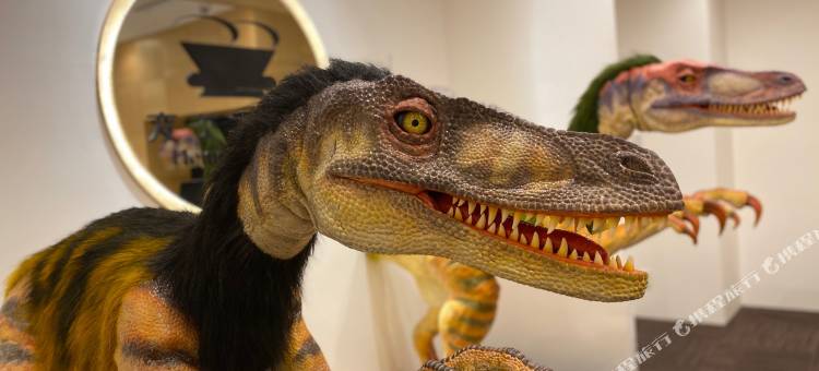 金泽香林坊海茵娜酒店(Henn na Hotel Kanazawa Korimbo)图片