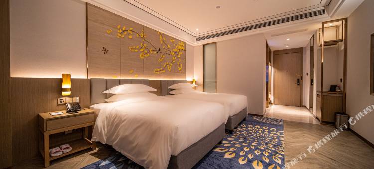 咸宁蓝海龍悦酒店(咸宁南站万达广场店)图片