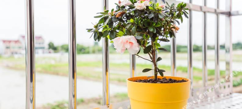 上海留香民宿图片