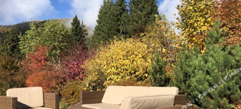 特拉神奇之地酒店(Terra - the Magic Place)图片