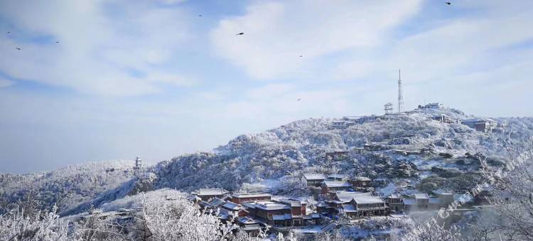 泰山仙居宾馆图片