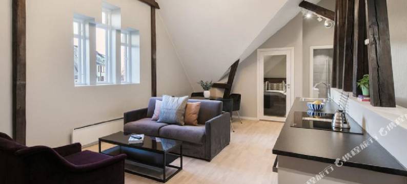 弗朗纳之家 - 比格迪街出租公寓(Frogner House - Bygdøy Allé)图片