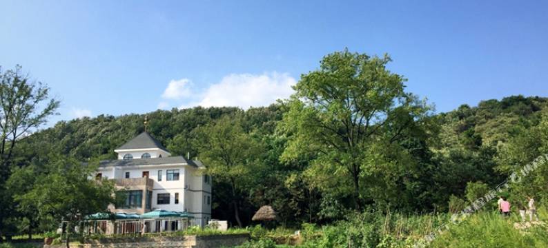 信阳百了一宿乡村酒店图片