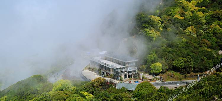 云上舍下森林民宿(金山森林公园店)图片