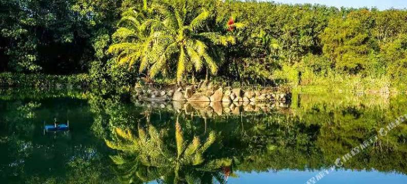 保亭仙岭郡代尔蒙酒店图片