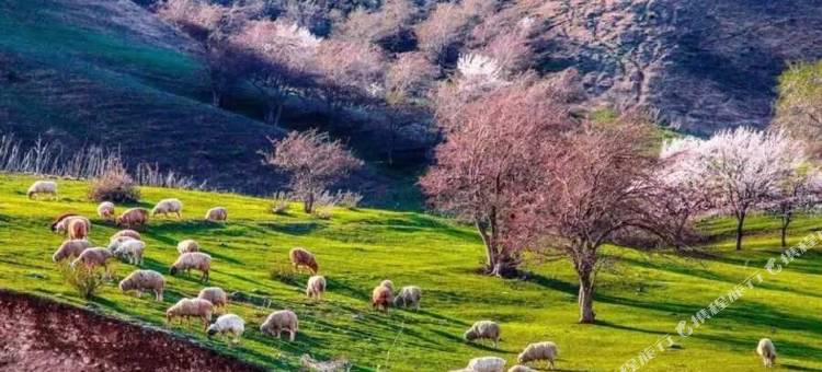 IU酒店(伊宁上海城店)图片