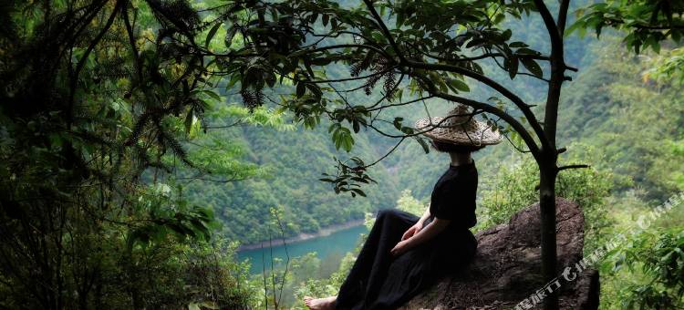 丽水遂昌乐领旗山侠隐庄园图片