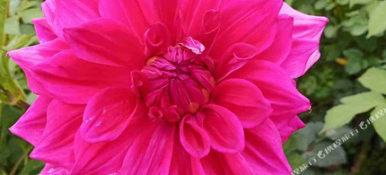 额尔古纳恩和琳娜之家民宿图片