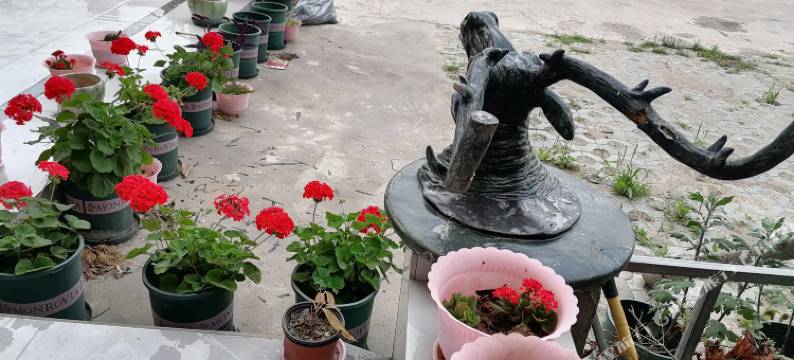 应城北冰洋宾馆图片